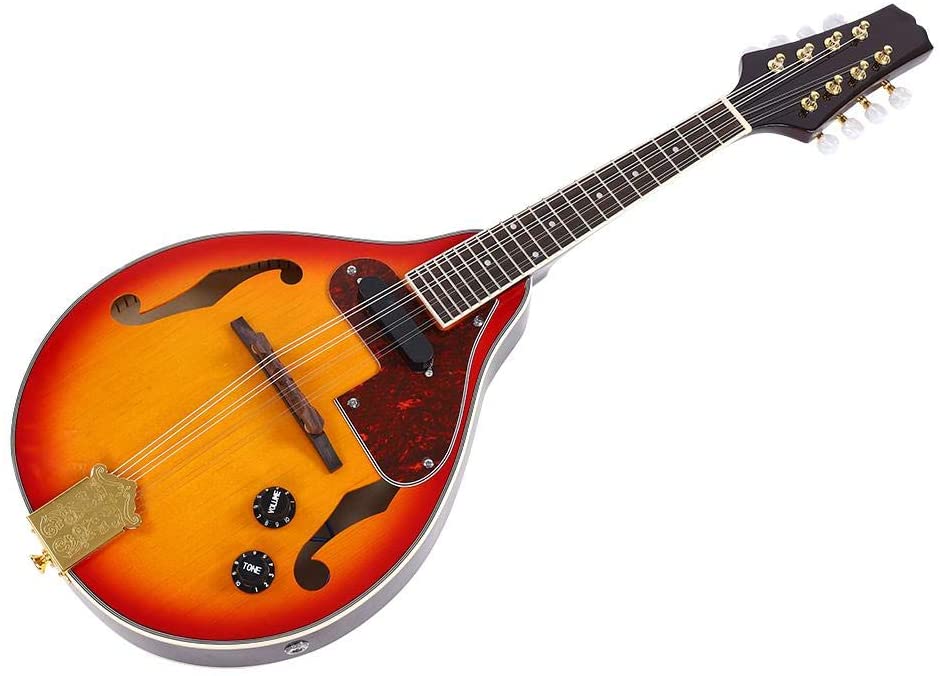 5 Best Electric Mandolins Reviewed in Detail [May 2022]