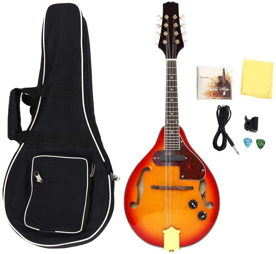5 Best Electric Mandolins Reviewed in Detail [May 2022]