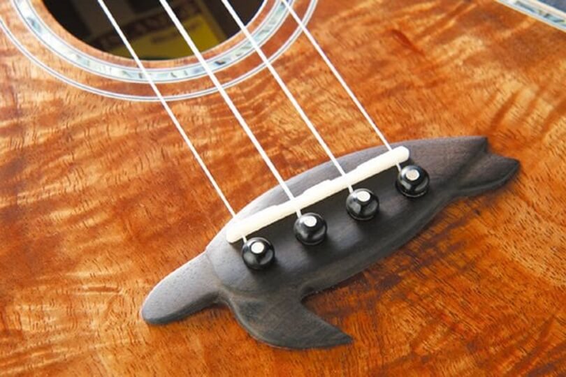 How to Change Ukulele Strings Simple Guide [Upd. 2024]