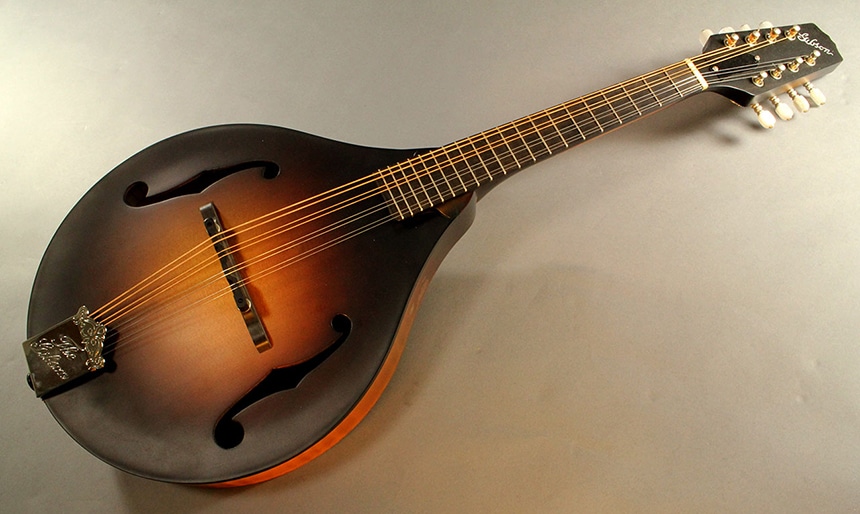 Who Invented the Acoustic Guitar Here's the Answer