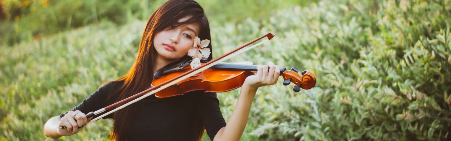 Types of Violins Beginner's Guide [Upd. 2021]