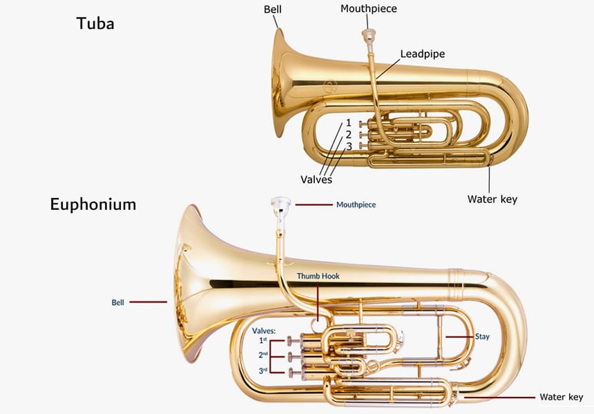 Euphonium vs. Tuba Here is the Difference! (2023)