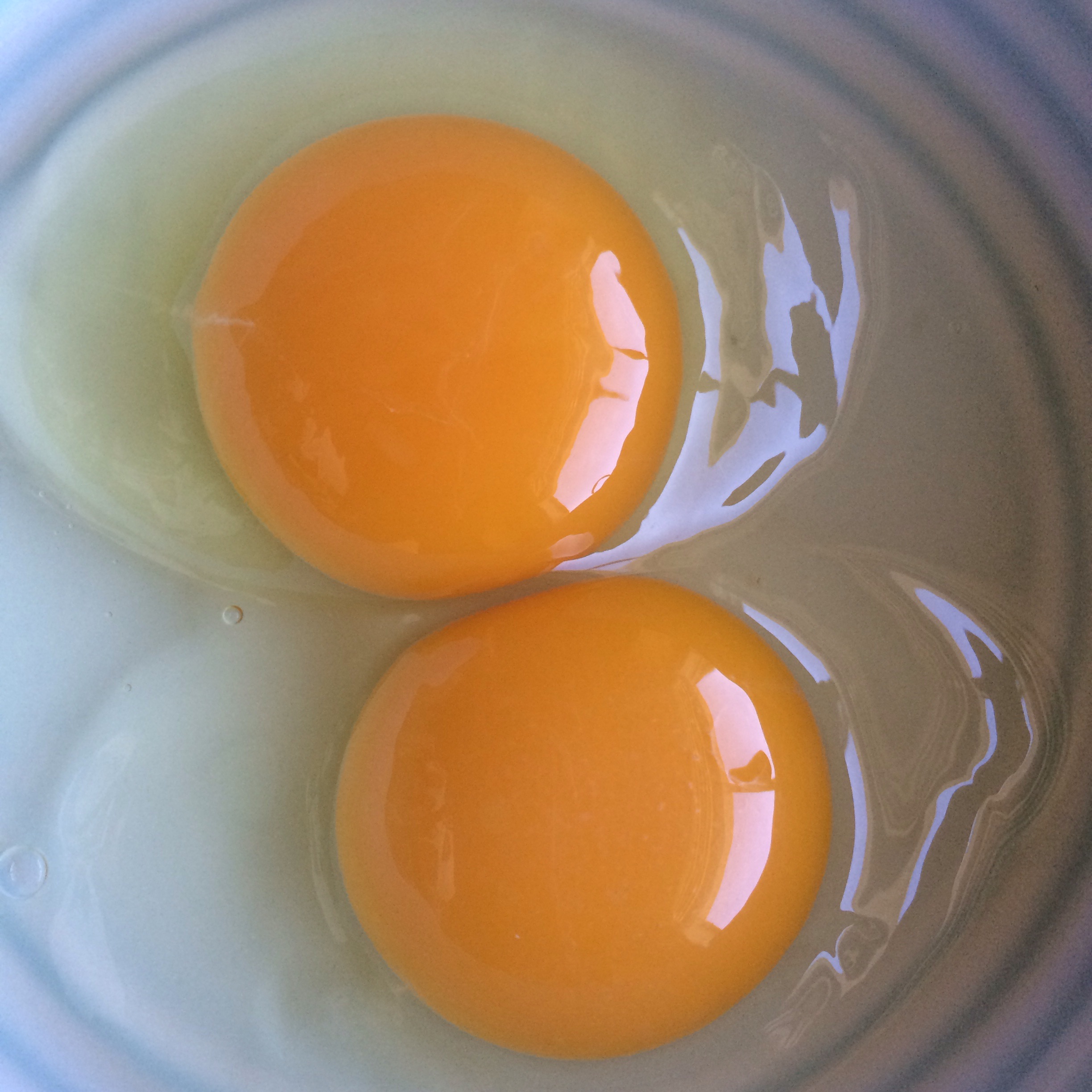 Eggs animal welfare approved Primetime Farms
