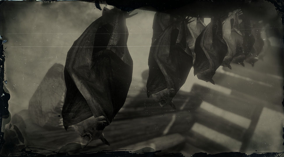 Bat Red Dead Redemption 2 Location, Perfect Pelt, Crafting