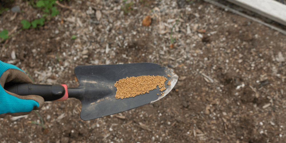 Your Guide to Planting Cover Crops Glenside, PA