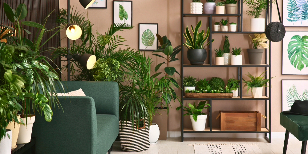 Indoor Gardening for Small Spaces Primex Garden Center Glenside, PA