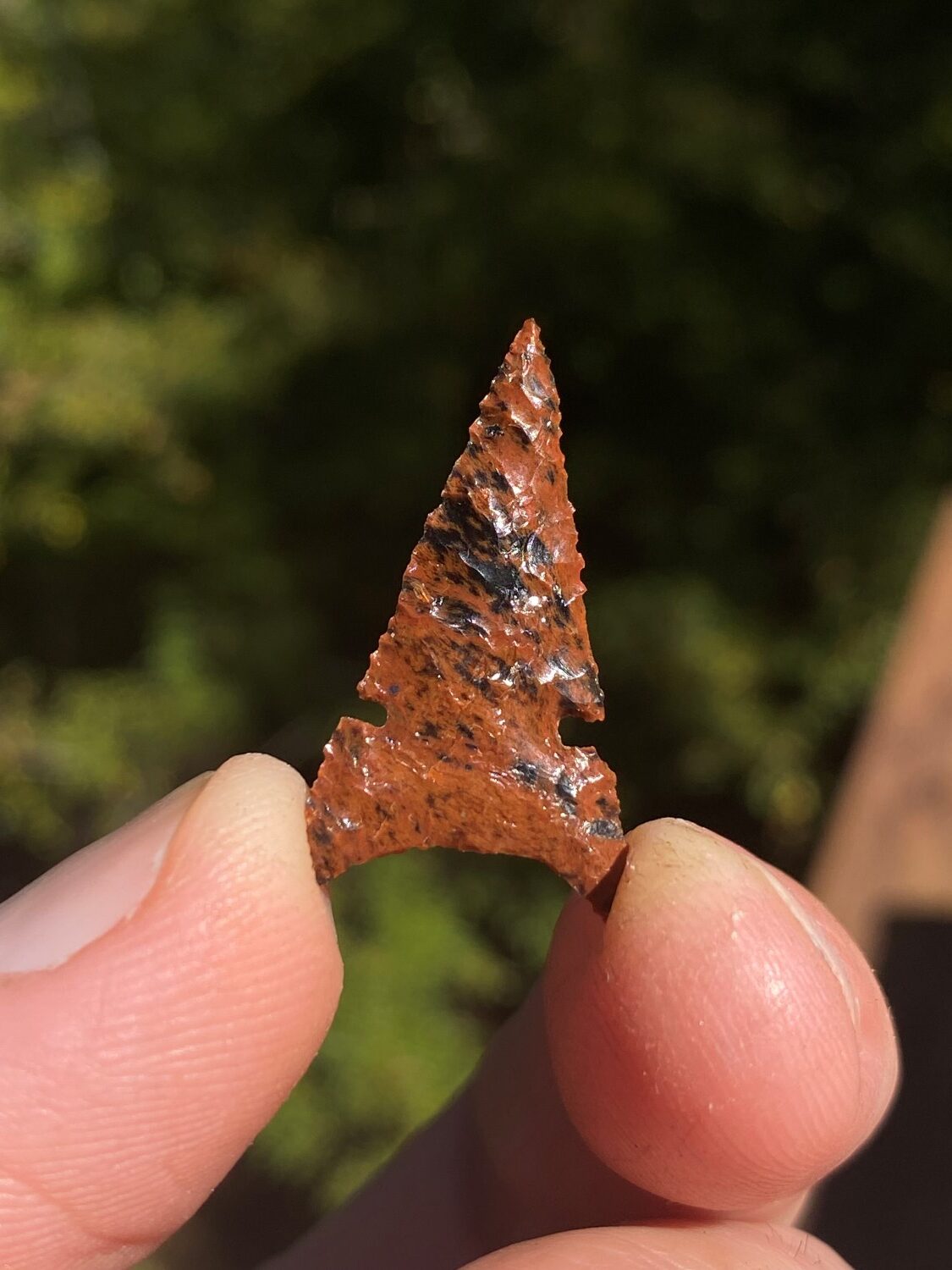 Mahogany Obsidian Desert Side Notched Arrow Point (NEW!) Primitive