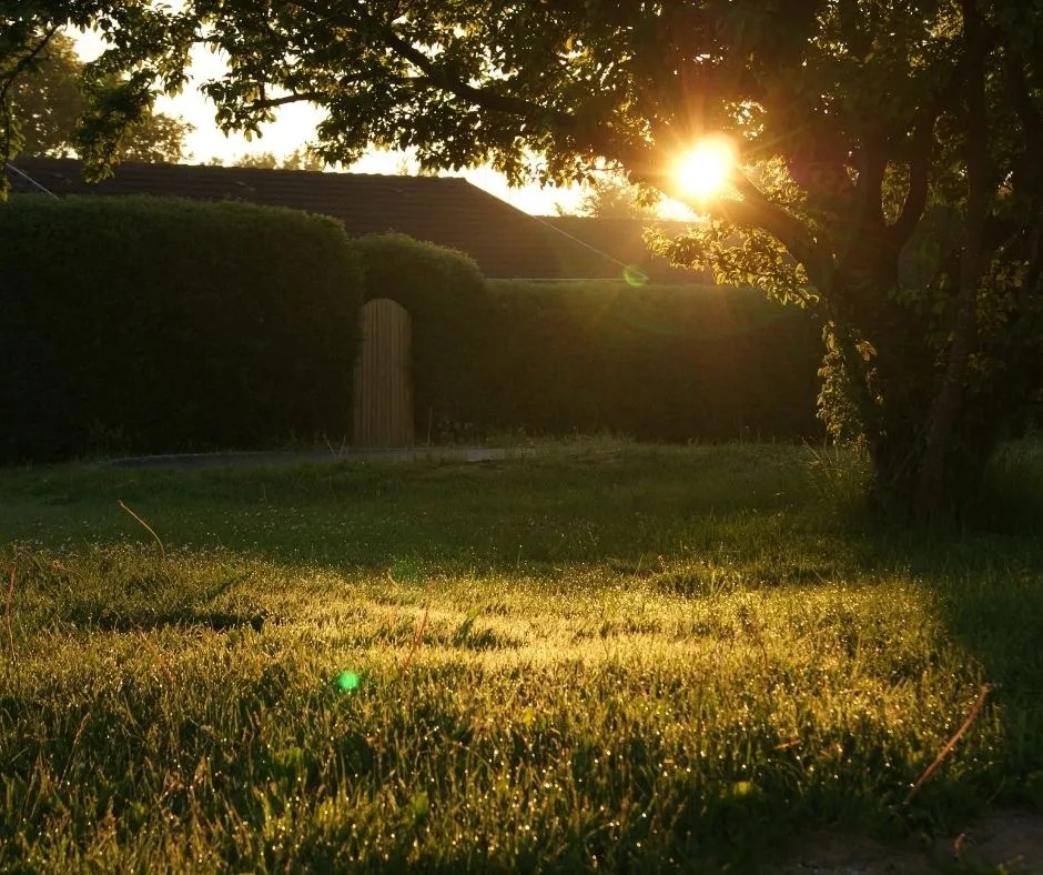How To Make Your Backyard Look Beautiful Prim Mart