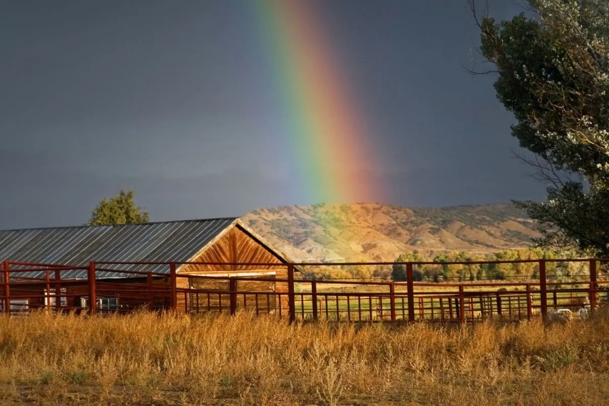 How to Know the Difference Between a Farm and a Ranch Prim Mart