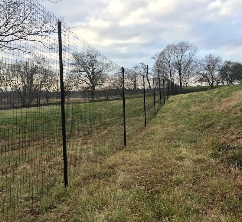 Deer Fence Installation Primo Landscape