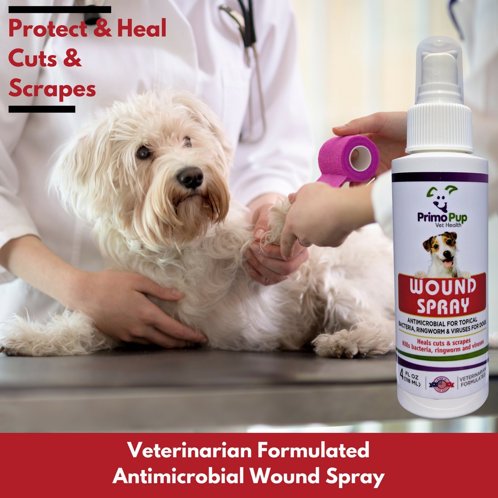 Dog Wound Care Products