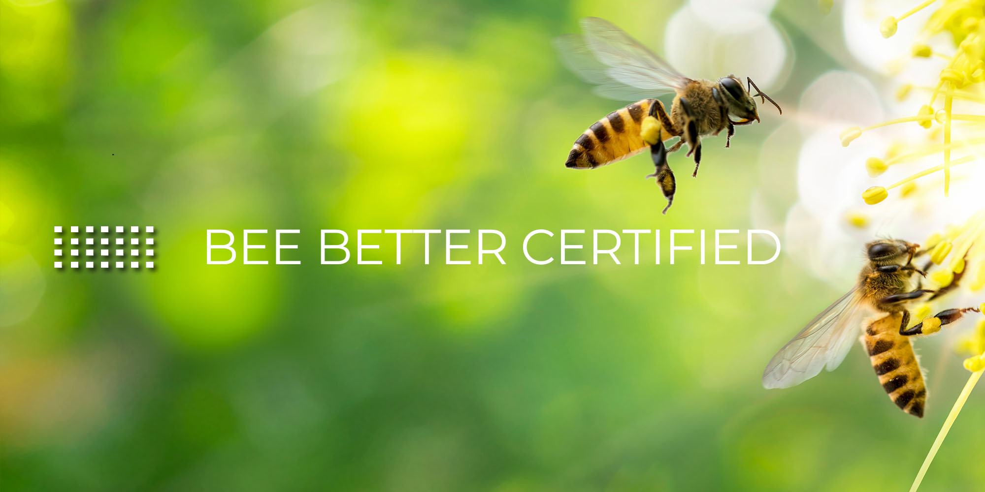 Bee Better Certified Primus Auditing Ops