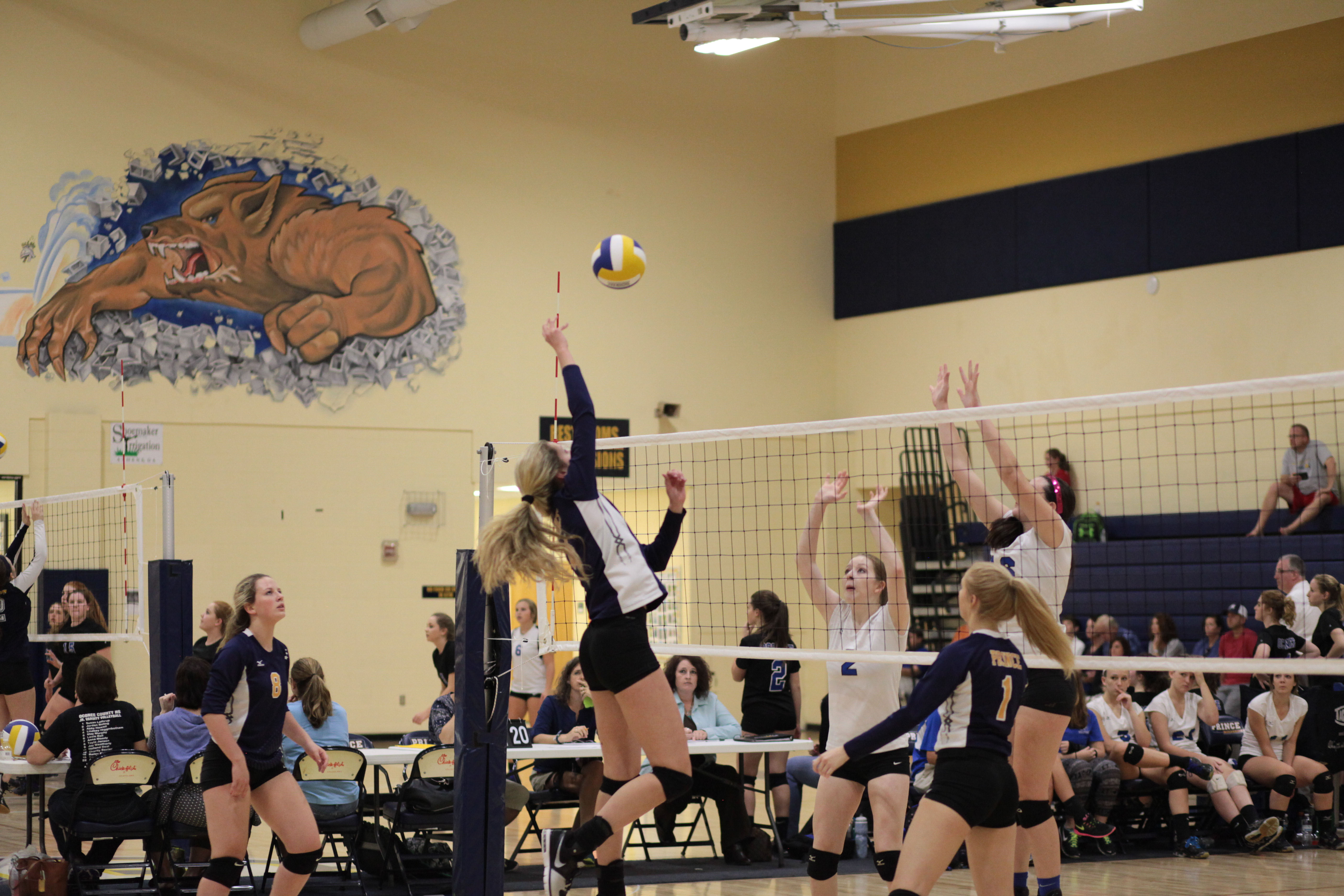 Volleyball Tryouts for Middle School, JV, and Varsity Prince Avenue