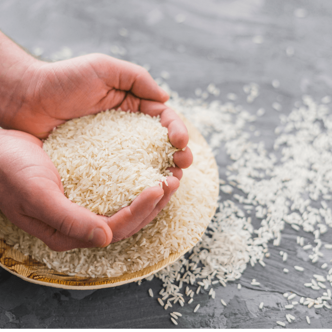 Turn RICE into BREAD Blender Rice Bread without a highspeed blender