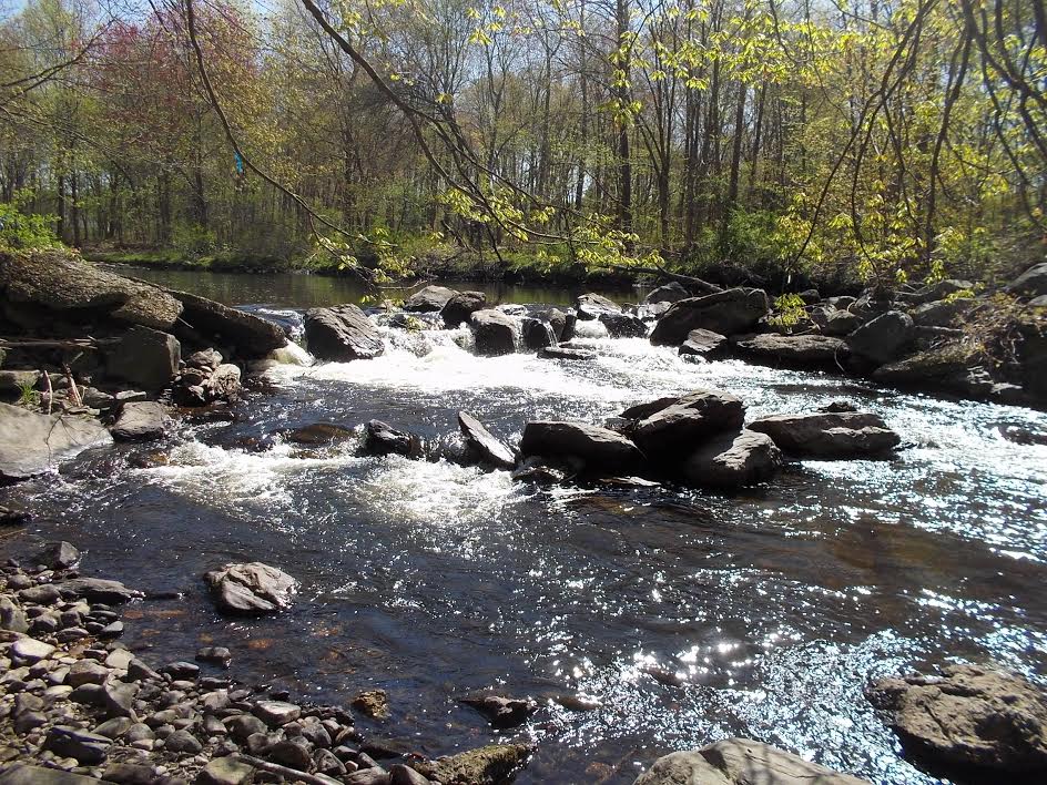 Dam Removal on the Moosup River PRINCETON HYDRO
