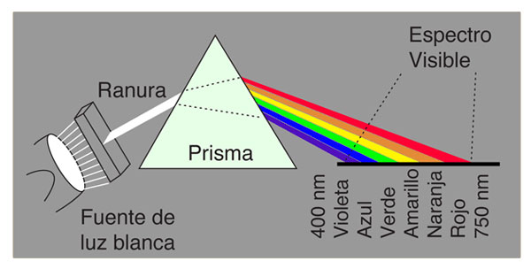 Ojos para lo infinitesimal II. La doma de la luz Principia