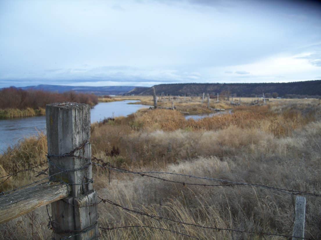 Crooked River Wetlands Recognized Among Nation's Top Municipal Projects