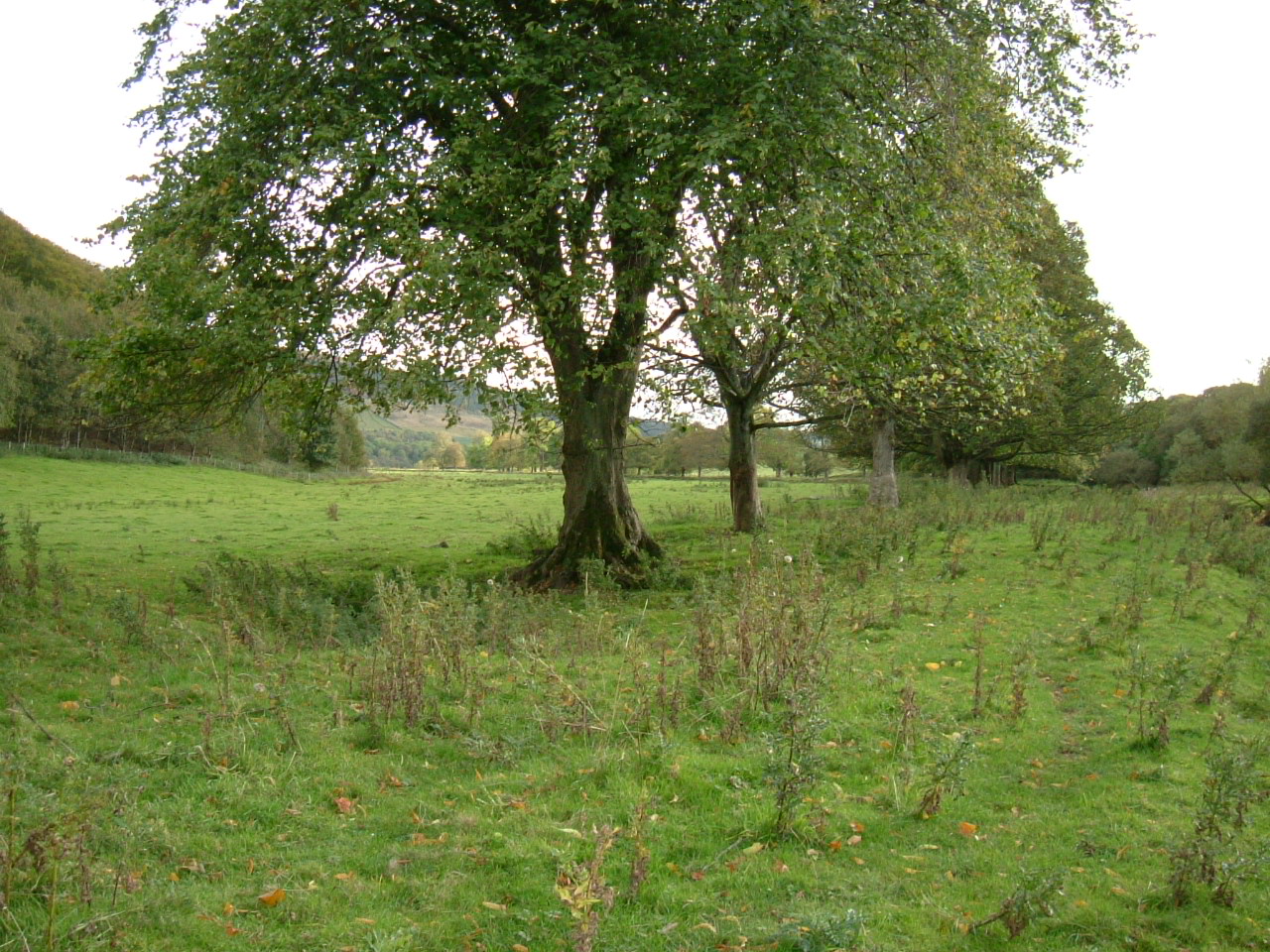 Stow of Wedale The Clan Pringle Association