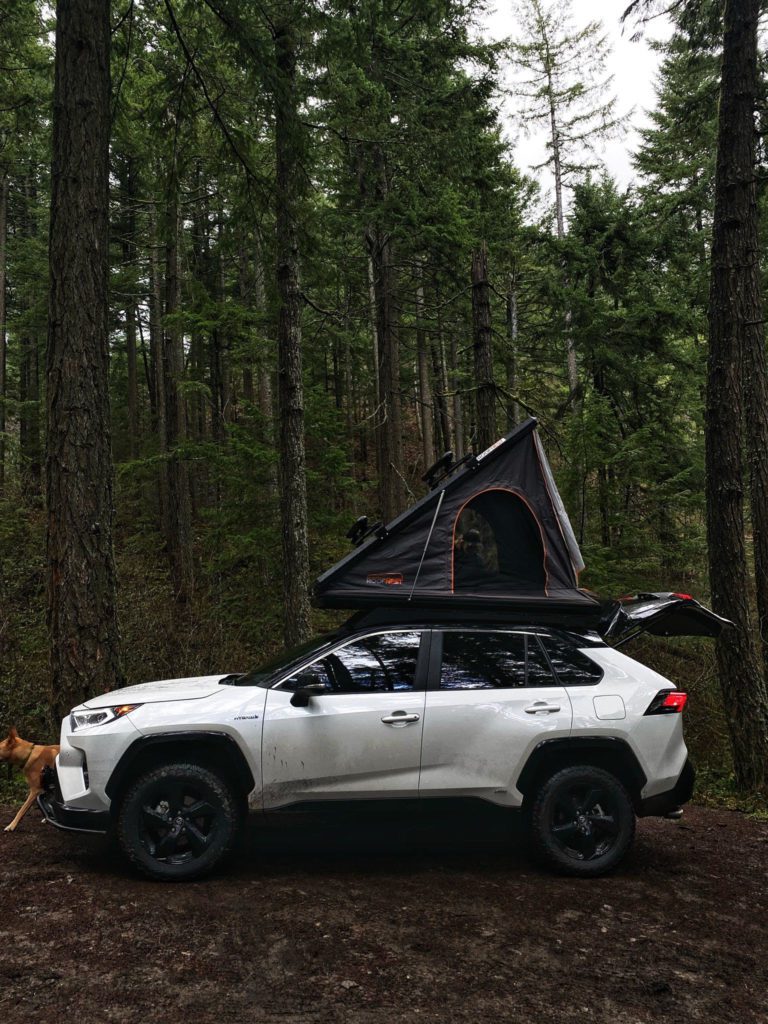 Toyota Rav4 Roof Rack 20192021 Prinsu Design Studio