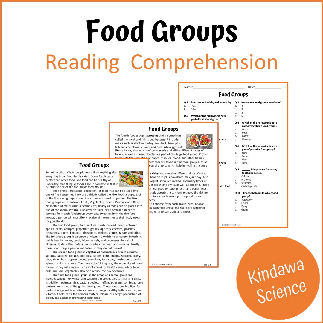 Food Groups Reading Comprehension Passage and Questions Printable PD