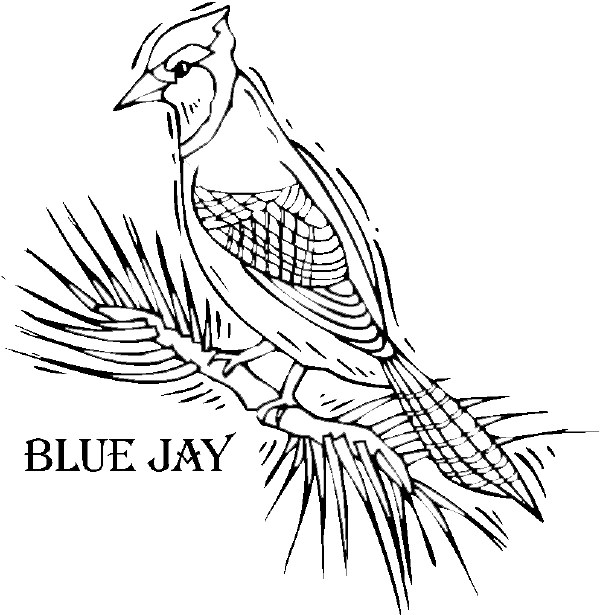 Toronto Blue Jays Coloring Pages Printable