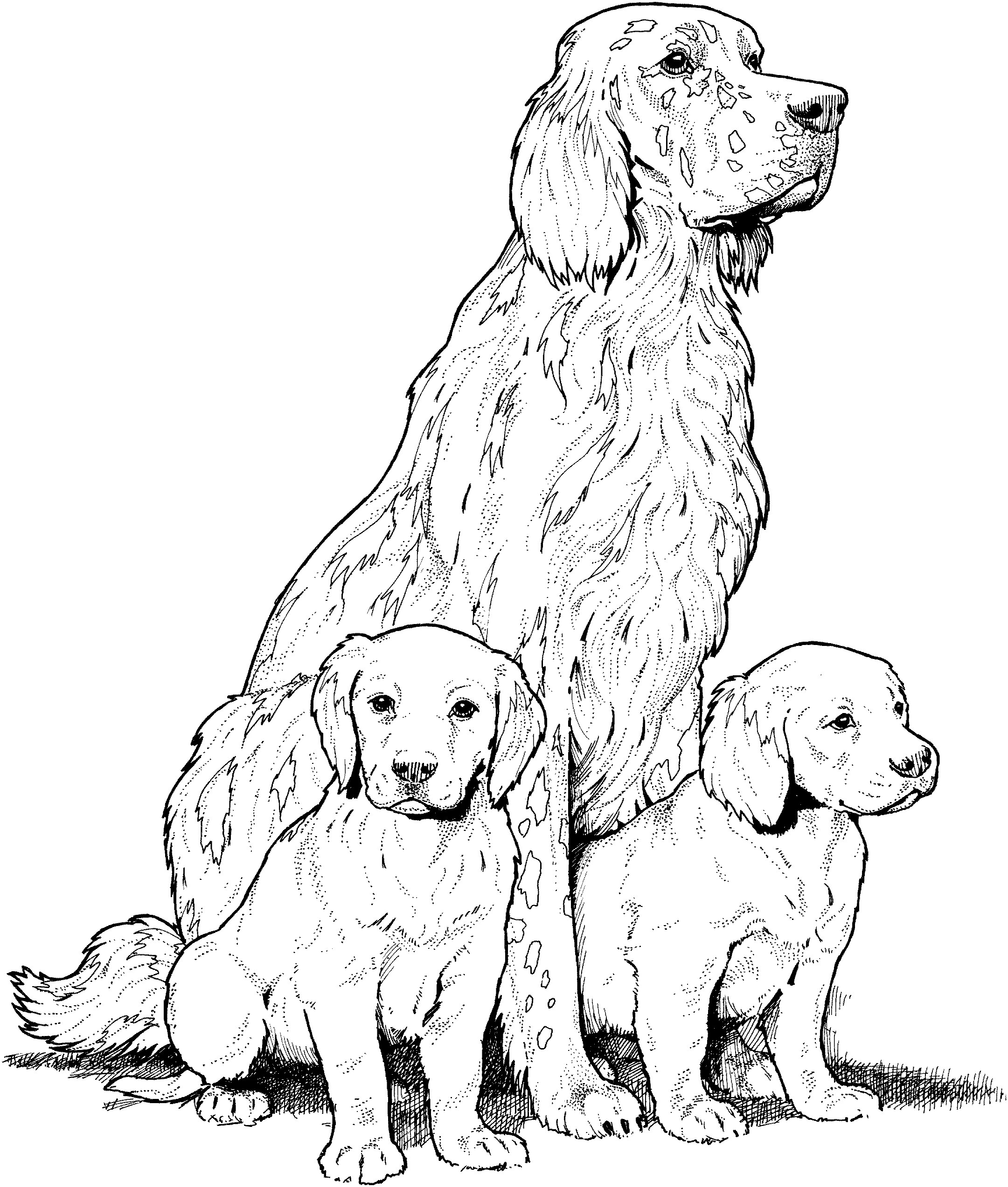Dog 3167 (Animals) Free Printable Coloring Pages