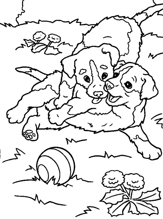 Drawing Dog 3174 (Animals) Printable coloring pages