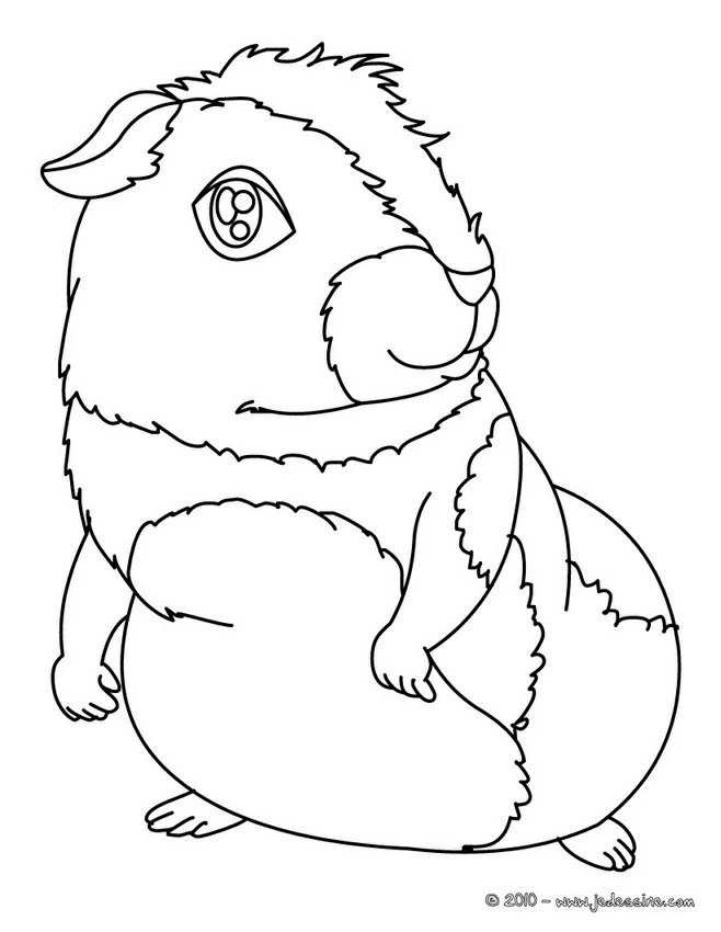 Letter G is for Guinea Pig Coloring Page, Free Printable, Bubble Font