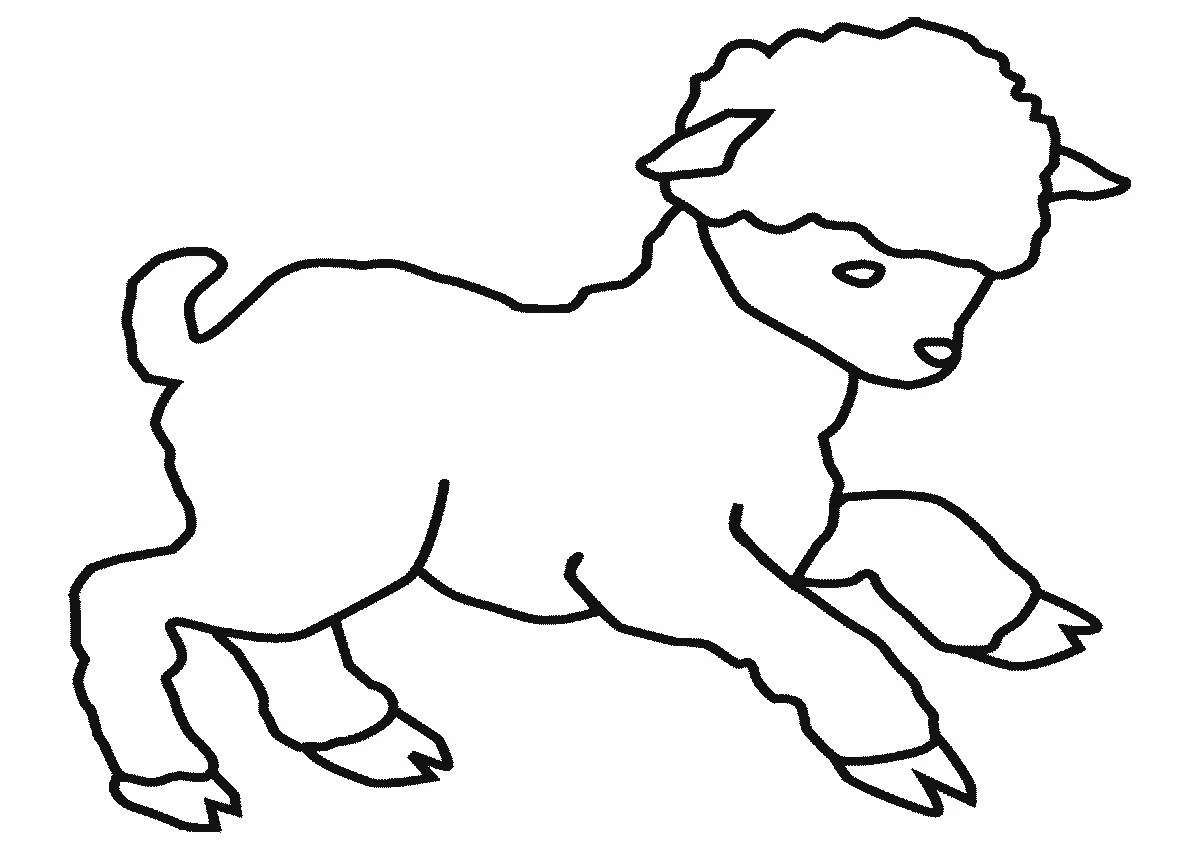 Lamb 4 (Animals) Printable coloring pages
