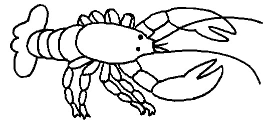 heavy lobster coloring page