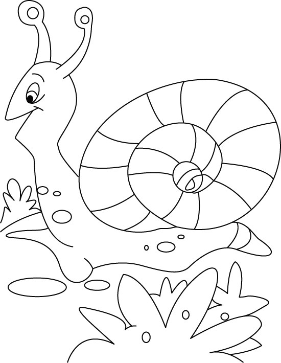Snail 6590 (Animals) Free Printable Coloring Pages