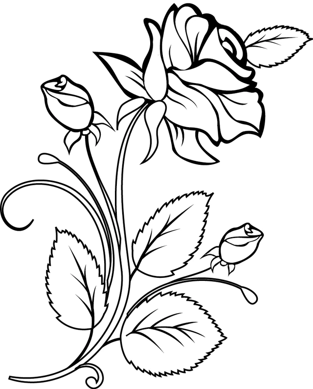 15 Amazing Printable Rose Coloring Pages Collections