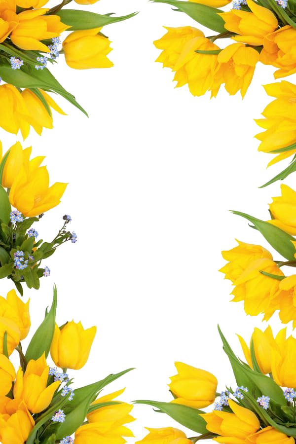 Printable Yellow Spring Border – Free download and print for you.