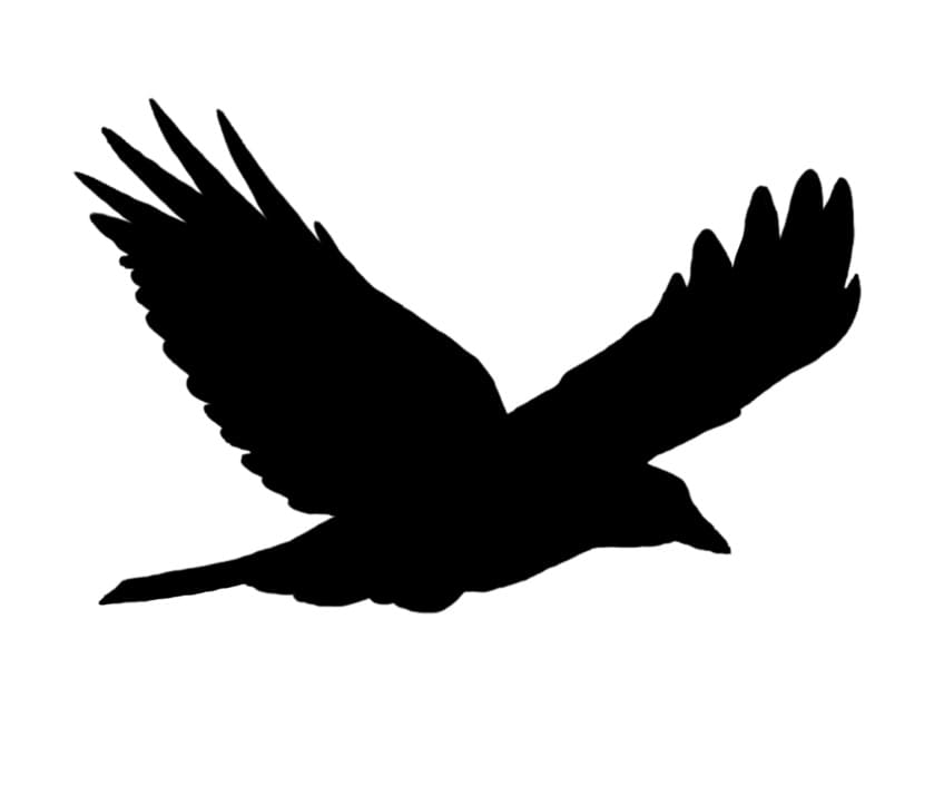 Printable Bird Stencil Free Picture – Free download and print for you.