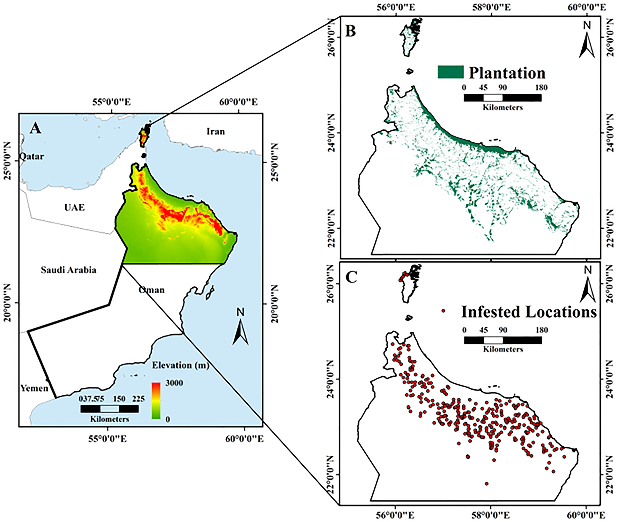 Remote Sensing And Spatial Statistical Techniques For Modelling