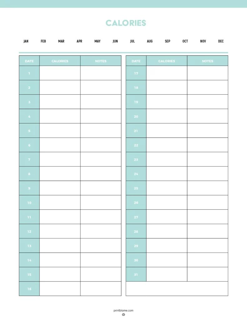 Calorie Counter Sheets 16 FREE Printable Tracker PDFs