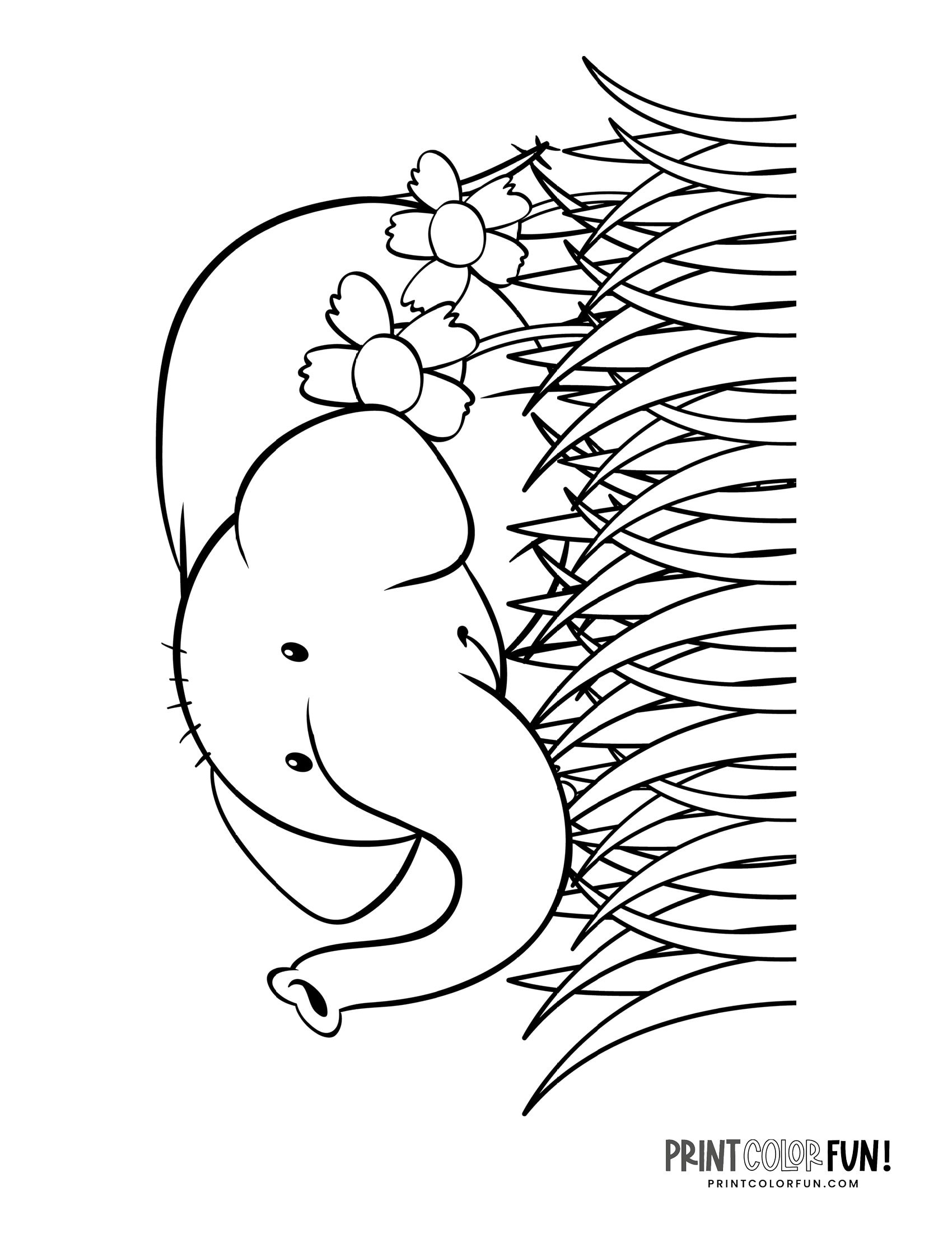 Elephant Coloring Pages for kids printable for free
