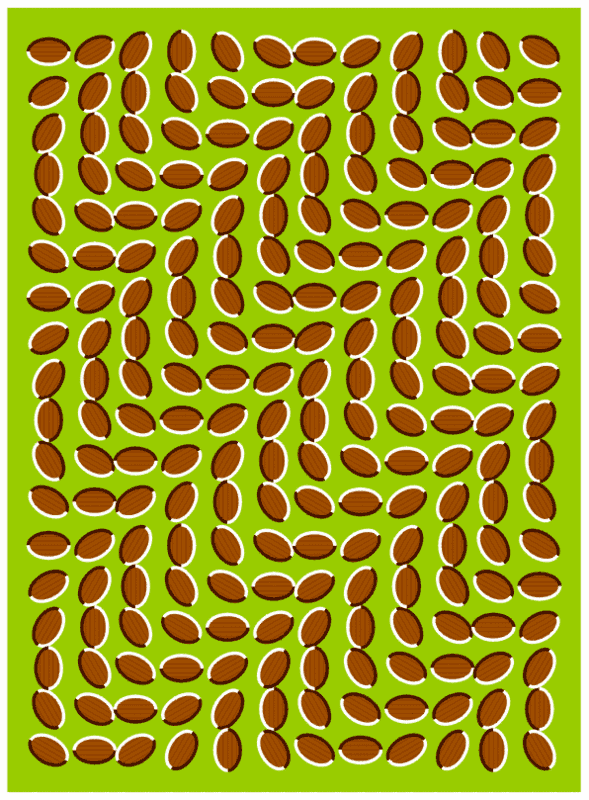 Optical illusions - Print. Color. Fun! Free printables, coloring pages