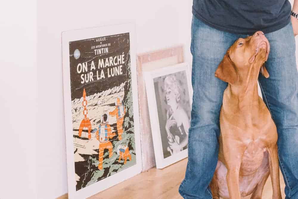 PrintHound Calgary Printing, Design & Branding agency.