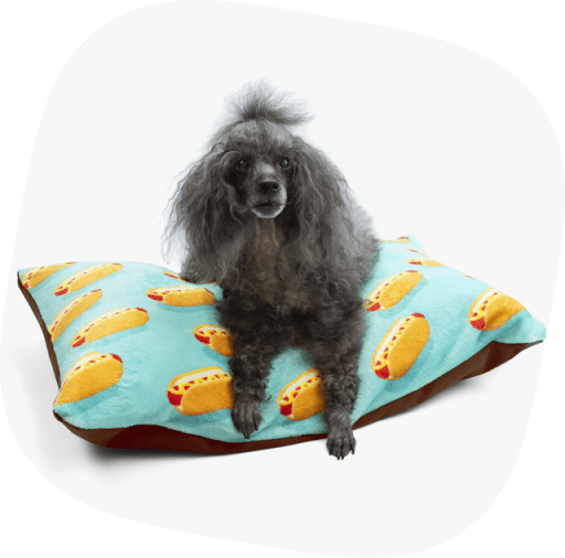 Start Selling Custom Dog Beds