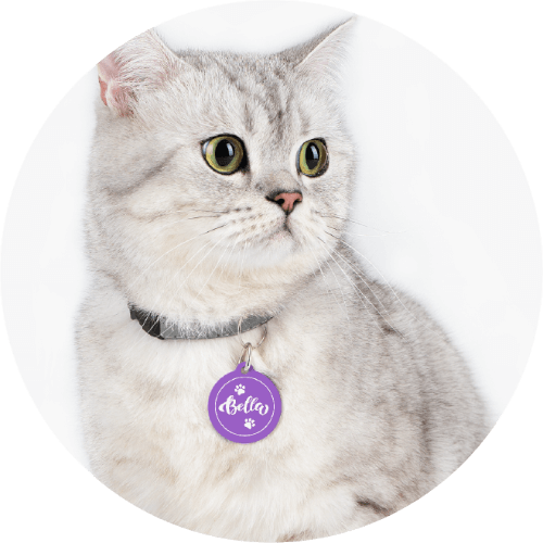 7 Best Custom Pet Gifts for Cat and Dog Lovers