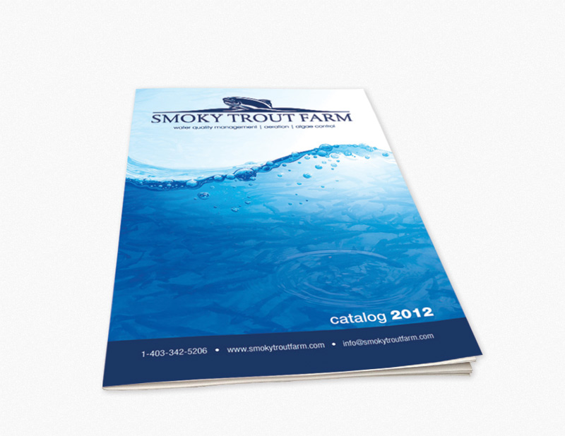 Booklet Printing Toronto, Cheap Custom Booklets. 500 for 395