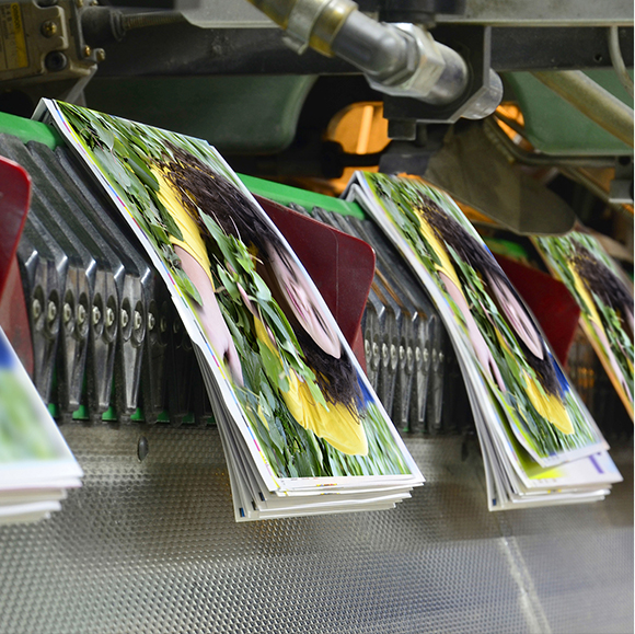 Austin Direct Mail, Commercial Printing Dallas Texas, Dallas Printing