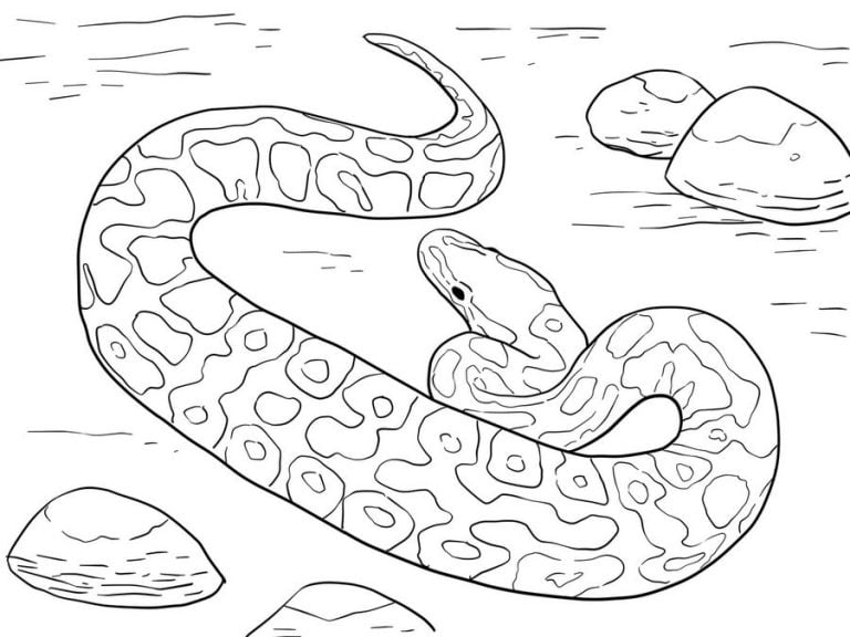 Coloring pages: Python, printable for kids & adults, free