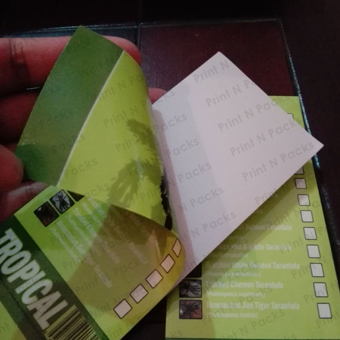 Double sided Stickers Printnpacks