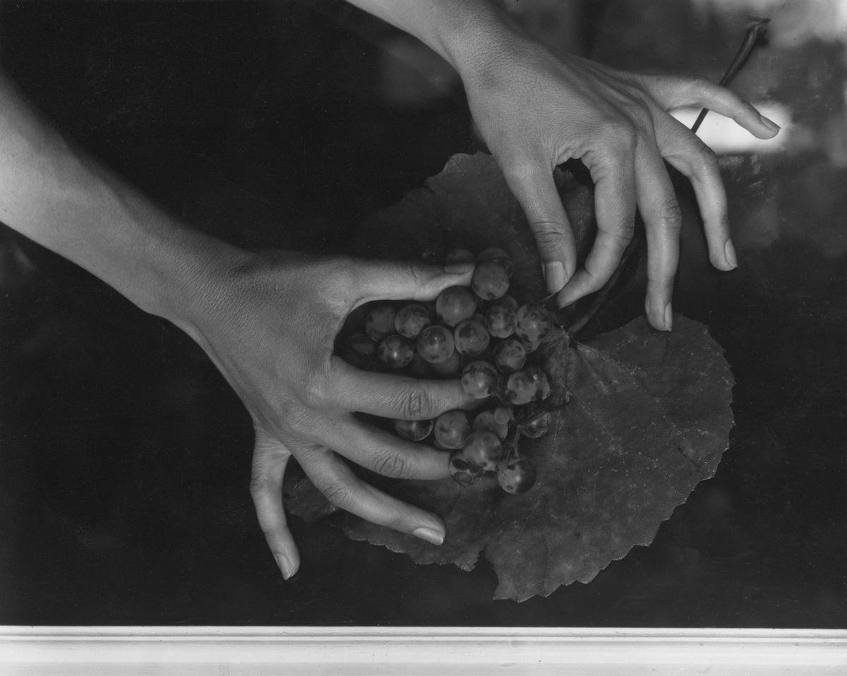 O'Keeffe Hands and Grapes, 1921 by Alfred Stieglitz Paper