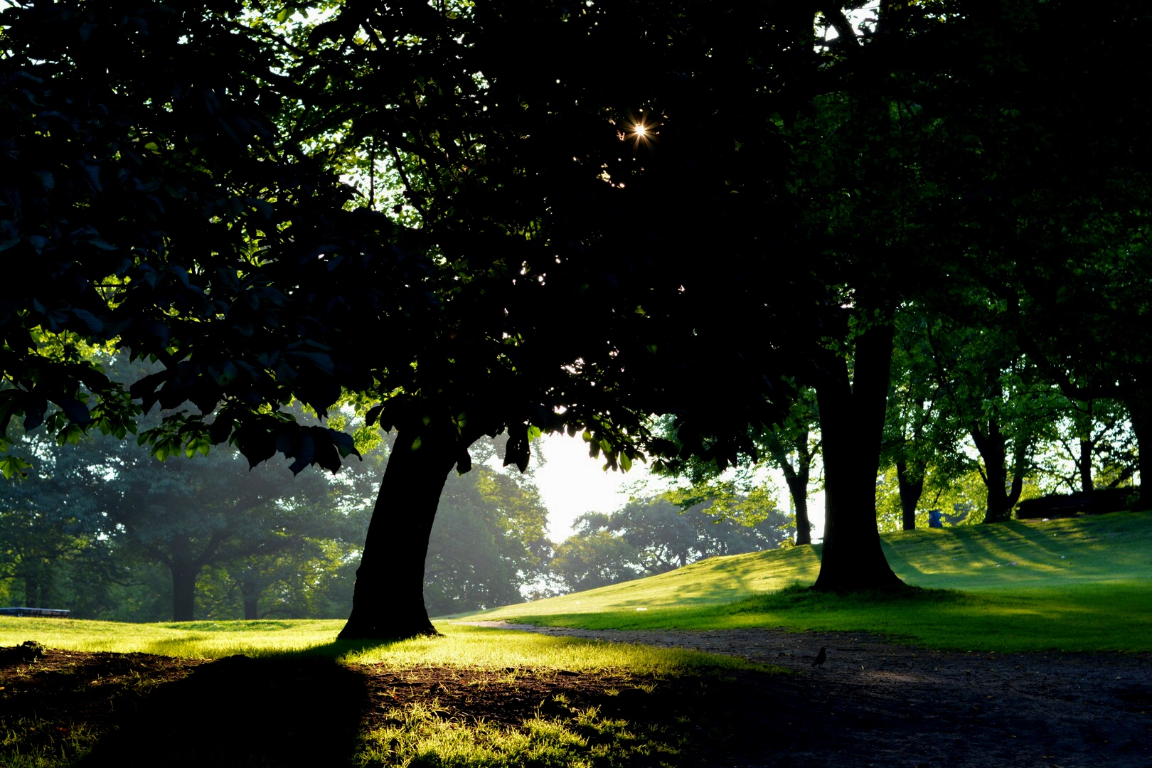 Kultureinrichtungen & Veranstaltungsorte Schanzenpark, Hamburg prinz.de