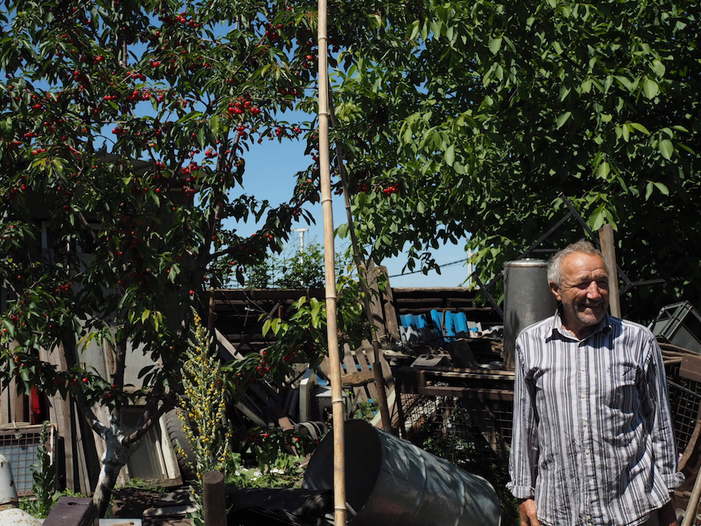 Nachbarschaftsakademie Ivans Garten Belgrad