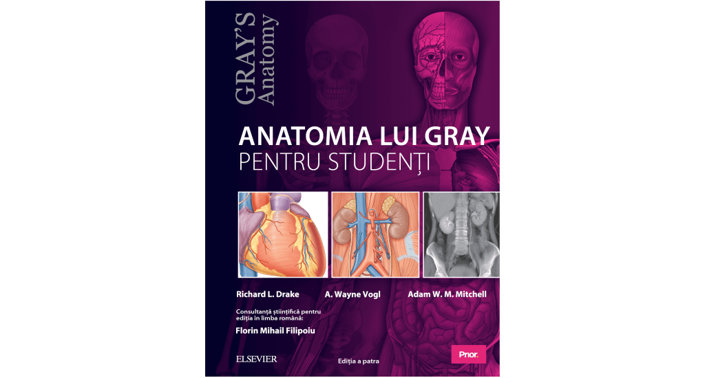 Anatomia Lui Gray Pentru StudenÈi EdiÈie RevizuitÄ Prior Ro