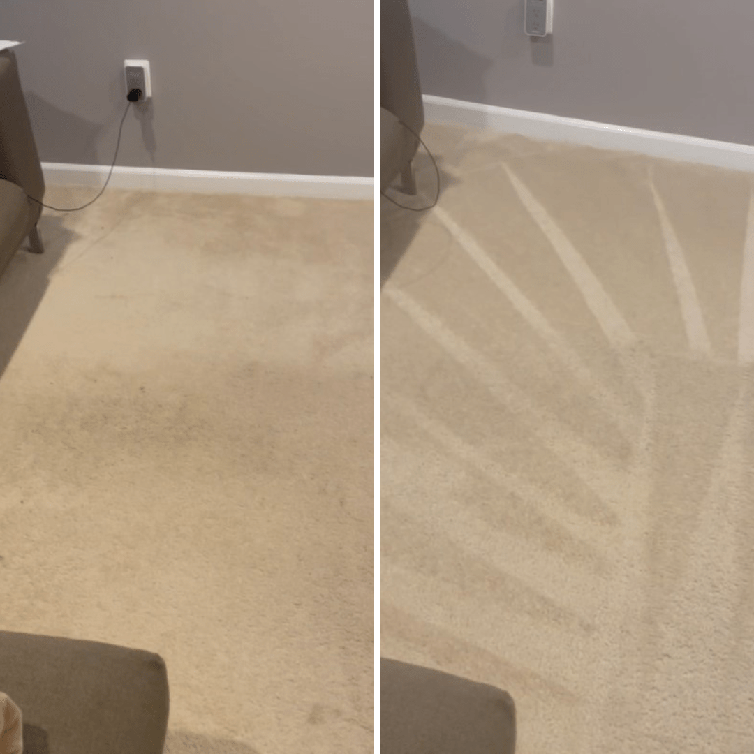 Gallery Priority Carpet Cleaning, Baltimore, Maryland